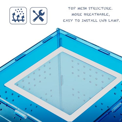8x8x12 Acrylic Reptile Tank – Cyberpunk Blue Reptile Enclosure Terrarium Inspired by New Caledonia Rainforest – Color Habitat for Geckos & Small Reptiles - color: Blue
