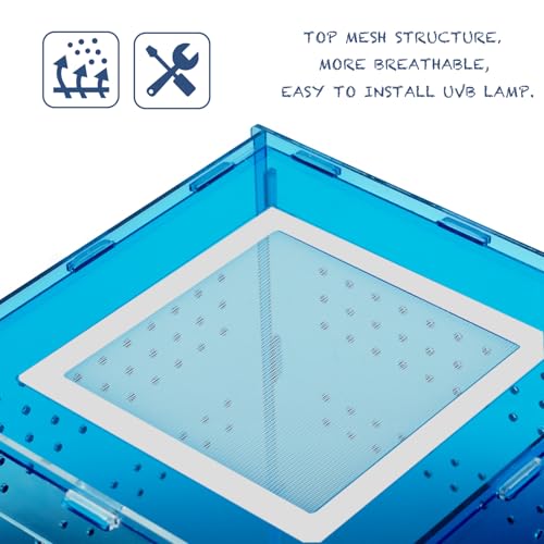 8x8x12 Acrylic Reptile Tank – Cyberpunk Blue Reptile Enclosure Terrarium Inspired by New Caledonia Rainforest – Color Habitat for Geckos & Small Reptiles - color: Blue