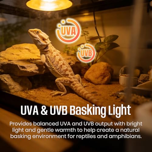 CALPALMY 4-Pack 50W UVA+UVB Bulbs | Heat and Light for Reptiles and Amphibian Tanks, Terrariums and Cages | Works with Various Lamp Fixtures