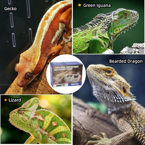 Escape Proof Reptile Feeding Dishes with Suction Cups, Small Anti-Escape Mealworms Bug Food Feeder Bowl for Lizard Leopard Gecko Chameleon Terrarium Tank Accessories