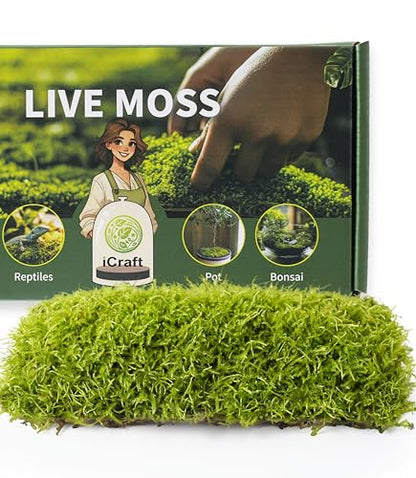 Live Moss Duo Pack – 2 Varieties Mixed Moss for Reptile Terrariums, Amphibian Habitats, Bonsai, Vivariums & Indoor Plant Projects