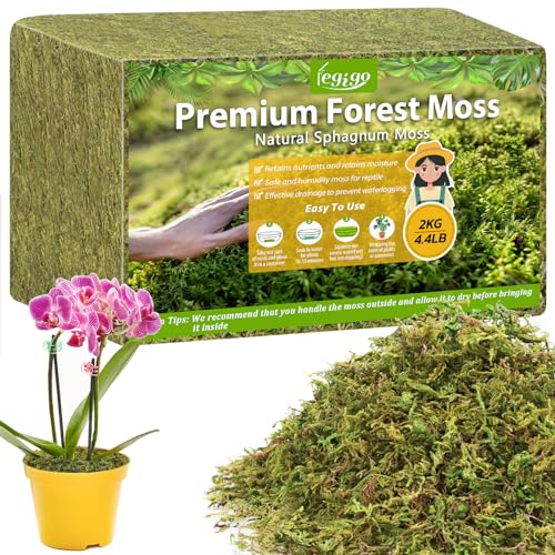 Legigo 4.4LBS Sphagnum Moss for Plants, 80QT Natural Orchid Moss Potting Mix Dried, Green Forest Plant Moss for Orchid Repotting Carnivorous Succulents Indoor Potted Plants Gardening and Reptiles - color: 80 QT(Appx.4.4lbs)