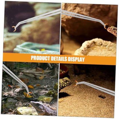Precision Stainless Steel Feeding Tweezers Long Handle Reptile Feeding Tong Simple Maintenance for Pet Care