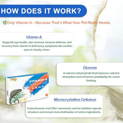 Reptile Vitamin A Supplement – Eye Health Support for Lizards, Turtles, Snakes & Amphibians – Promotes Growth, Vision & Immunity