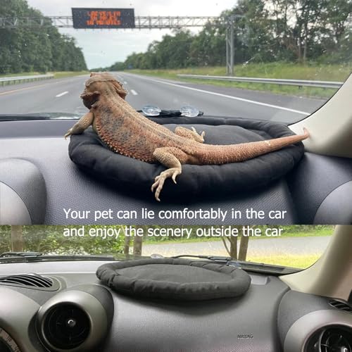 SEIS Bearded Dragon Mat for Car Lizard Sleeping Bed Adsorbed on Glass Jar 13.4"x 10.6" Reptile Carpet Floor Liner for Gecko Chamelon Turtles Lguana Guinea Pig Hamster Rabbit Chinchilla (Black)