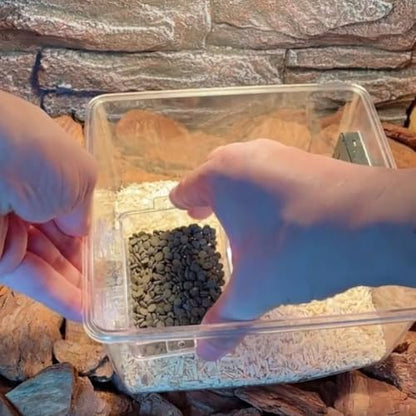VILLCASE Escape Reptile Feeder Box with Suction Cup, Large Anti-Escape Feeding Bowl, Replaceable Lizard Food Dish for Terrarium and Reptile Pets