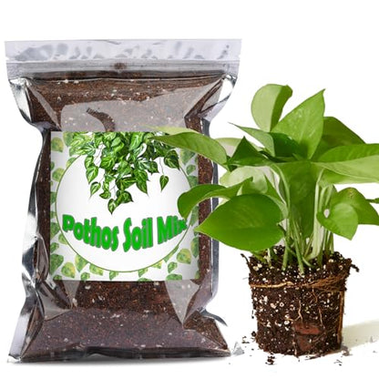 Doter Organic Pothos Soil Mix 2qt, Indoor Plants Potting Mix for All Potted Pothos, Grow Healthy houseplants Indoors - size: 2qt