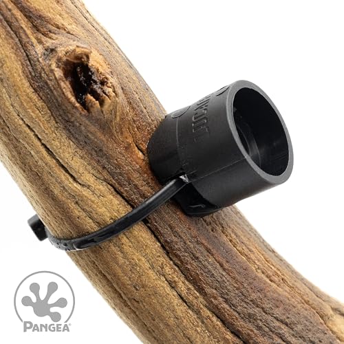 Pangea Microdish Kit for Crested Gecko Food, Small Dish for Anoles and Other Reptiles, Zip Tie Attachment Water Bowl 2.75in x 2.6in (L Branch Mount) - size: L Branch Mount