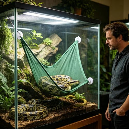 Bearded Dragon Hammocks - Breathable Mesh Snake Bed,Reptile Hammock Bearded Dragon - for Cage Enclosure Terrarium Habitat Lizard Enrichment Chameleon Frog Tortoise - color: Green