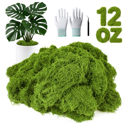 MGLIFEUL 12OZ Artificial Fake Moss for Crafts Plants Indoor with Non-Stick Gloves and Tweezers，Preserved Green Plant Faux Craft Moss Musgo for Fairy Garden Indoor Outdoor Home Decorating Model Making - color: Light Green, size: 12oz