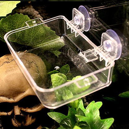 Reptile Feeder Chameleon Bowl 2 Pcs Anti-Escape Food Dish Bowl with Suction Cup for Chameleon Iguana Lizard Reptile Food and Water Feeding (White, S) - color: White, size: S