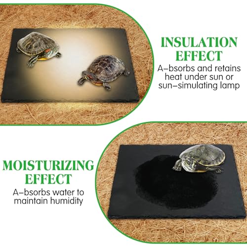 Tfwadmx Reptile Basking Platform Tortoise Feeding Dish Natural Rock Food Bowl Landscape Habitat Decor for Turtle Lizard Bearded Dragon Crested Gecko Snake 2Pcs - size: 2pcs-12"x6"
