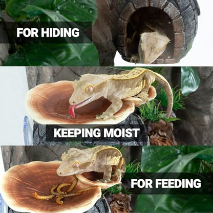 REPTI ZOO Reptile Hide, Multifunctional with Suction Cup, Resin Reptile Hides, and Caves for Reptiles, Gecko, Lizard (Ganoderma Lucidum Shape)
