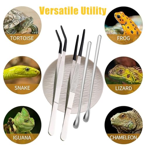 Ouliget Reptile Feeding Tool Set,Rubber Tip Straight Curved Feeding Tongs Tweezers Feeding Spoon,Small Reptile Food Plastic Dish Bowl for Geckos Lizards Bearded Dragons