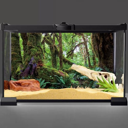 AWERT 24x16 inches Tropical Forest Terrarium Background Green Huge Tree Reptile Habitat Background Rainforest Aquarium Background Durable Polyester Background - size: 24x16in/60x40cm