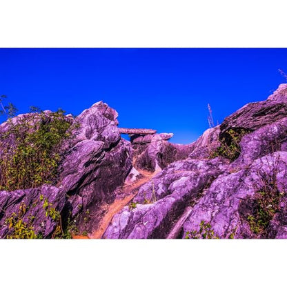 Reptile Habitat Background Blue Sky Rock Mountain Gobi Terrarium Background Eroded Stone Mountains Jungle Plants Aquarium Background Desert Blue Sky Mountain Fish Tank Background Vinyl 24x16in - color: Rock Blue, size: 24(W)x16(H)in