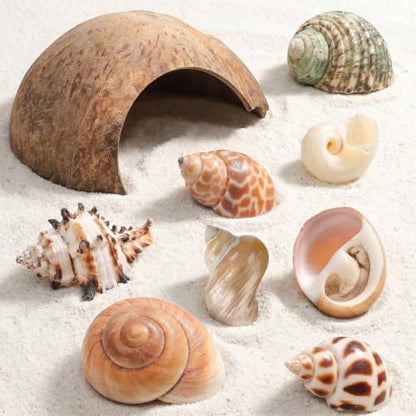SHINEOFI Coconut Shell Hideout with 8 Large Hermit Crab Seashells Natural Reptile Shelter Small Pet Hide Cave for Aquarium Turtle Rest Hut and Lizard Habitat Decor