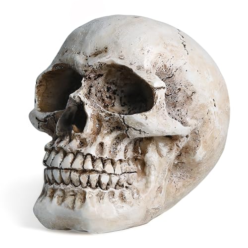 Skull Decor, Resin Realistic Skeleton Head Statue for Halloween, Fake Human Bone Skull Model for Halloween Decoration, Home, Party, Table, Bookshelf