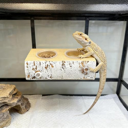 Magnetic Gecko Feeding Ledge | Removable Resin Food Dish,Terrarium Bowls Reptile Feeders - for Pets Crabs Turtle Spider Bearded Dragon Frogs Centipede Small Animal
