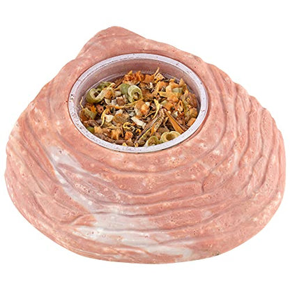 Healthy Herp Bearded Dragon Food Instant Meal for Reptiles - Nutritious Bearded Dragon Accessories, Bearded Dragon Food - Made in USA - for Box Turtles, Lizards, Tortoises - 7 x 0.2 oz (5.7g) Cups - size: 0.2 Ounce (Pack of 7), style: 7-Pack Cups
