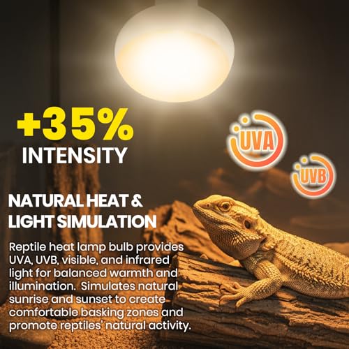 CALPALMY 4-Pack 150W Reptile Heat Lamp Bulb, UVA Daylight Basking Light for Reptiles, Bearded Dragon, Lizard, Turtle, Snake, Tortoise, Chicken – Flat Bottom Design, Long Lifespan, 120V E26 Base