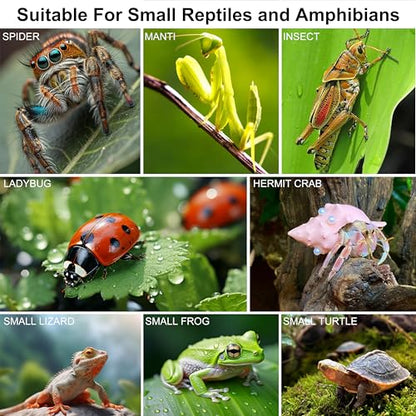 Jumping Spider Enclosure, Spider Terrarium, Acrylic Enclosure Kit, Small Terrarium, Insect Habitat for Spiders, Praying Mantis, Arboreal Tarantula, Bug, Frog, Snail, Lizard and Small Reptiles