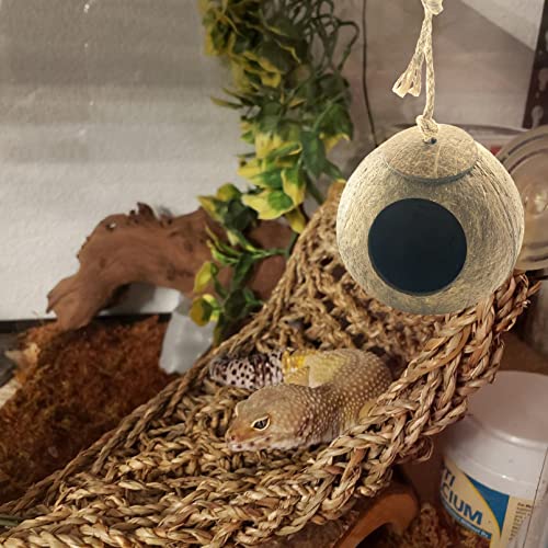 Crested Gecko Coconut Hut,Leopard Gecko Natural Coco Shell Den Reptiles Habitat Durable Hanging Cave Hideouts Plants Climbing Decoration for Amphibians and Small Animals(4 Pcs)