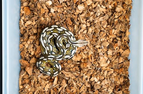 Coconut Husk Reptile Substrate, 10 lb. block, Brown