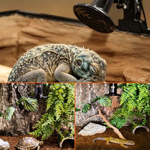 BNOSDM 2 Pack 100W Non-Light Emitting Ceramic Heat Emitter, Reptile Heat Lamp Bulbs, Brooder Coop Heater Lamp Bulb for Amphibian Reptiles Lizard Turtle Chicken - color: Pack of 2/Black, size: 100 Watts