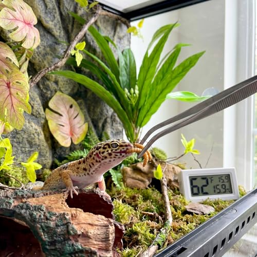 Crested Gecko Tank Accessories Kit，Tree Trunk Hideout, Artificial Plants | Feeding Bowl, Jungle Vines , Resting Leaves Platform , hygrometer thermometer , for Leopard Gecko, Frogs, Hermit Crabs