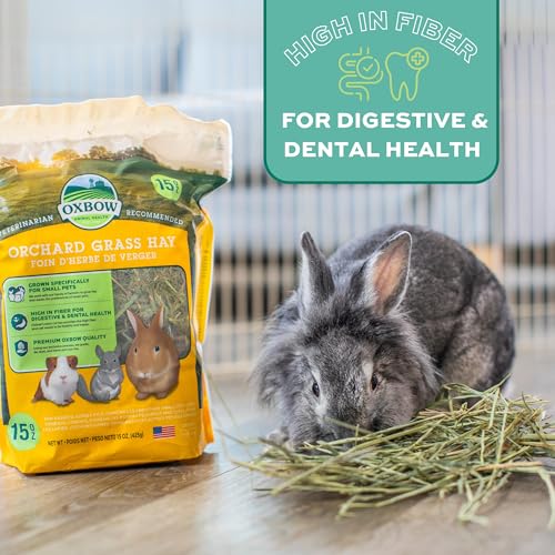 Oxbow Orchard Grass Hay for Small Pets – All-Natural Long Strand Fiber Hay for Rabbits, Guinea Pigs, Chinchillas, and Hamsters – Supports Digestive Health and Enrichment – 40 oz Bag - size: 40 Ounce (Pack of 1)