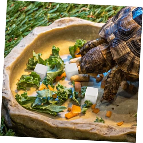 30pcs Natural Mineral Calcium Rocks for Reptiles and Amphibians Enhances Water Stability and Teeth Grinding Provides Essential Trace Elements for Turtle Tortoise Frog Lizard and