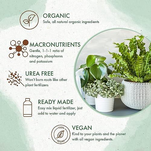 Organic Indoor Plant Food - All-Purpose Liquid Fertilizer - Best for Live Houseplants Indoors + Common Home Outdoor Plants in Pots (8 oz)