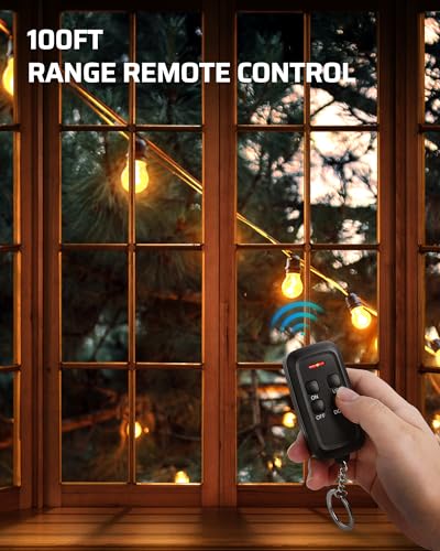 DEWENWILS Outdoor Dimmer for String Lights, 125V Dimmer Switch with 100FT Control Range, Weatherproof Outdoor Dimmer Plug for Dimmable LED/Tungsten Bulbs - style: 1 remote 2 outlets