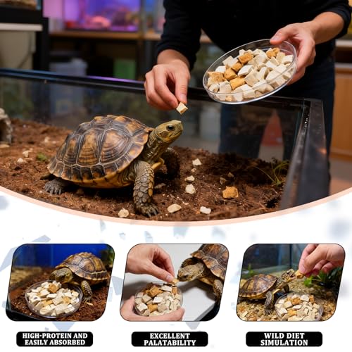 Freeze-Dried Chicken, Duck & Fish for Turtle Treats | 3 oz Canister of Aquatic Turtle Food | Protein Rich Diet for Red Eared Sliders, Box Turtles & Aquatic Pets (3 oz)