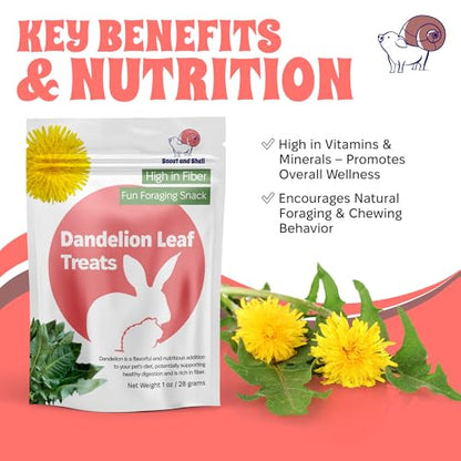 Snout and Shell Dandelion Leaf Treat for Small Pets – 1 oz (28g) | High-Fiber, Natural Foraging Snack for Rabbits, Guinea Pigs, Chinchillas, Squirrels & More