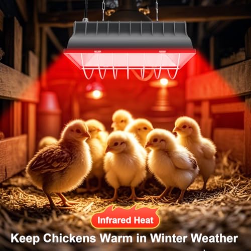 UTFEEDY Chicken Coop Heater, Aluminum Brooder Heater Lamp for 30 Chicks or Duckling, 250 Watts Heating Plate Lamp Warmer with Adjustable Temperature & 8 feet Iron Chain for Amphibians, Livestock, Pets - color: Grey