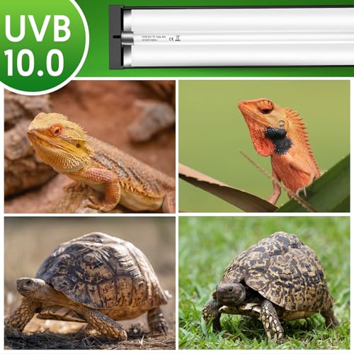 QZQ T5 UVB Reptile Light Fixture Combo Kit 8W, 10.0 UVB Light for Reptiles, Terrarium Hood Comes with Desert UVB Lamp for Bearded Dragon, Gecko, Tortoise, Lizard - size: 8W-12.4IN