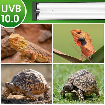 QZQ T5 UVB Reptile Light Fixture Combo Kit 24W, 10.0 UVB Light for Reptiles, Terrarium Hood Comes with Desert Reptile Lamp for Bearded Dragon, Gecko, Tortoise, Lizard - size: 24W-22.7IN