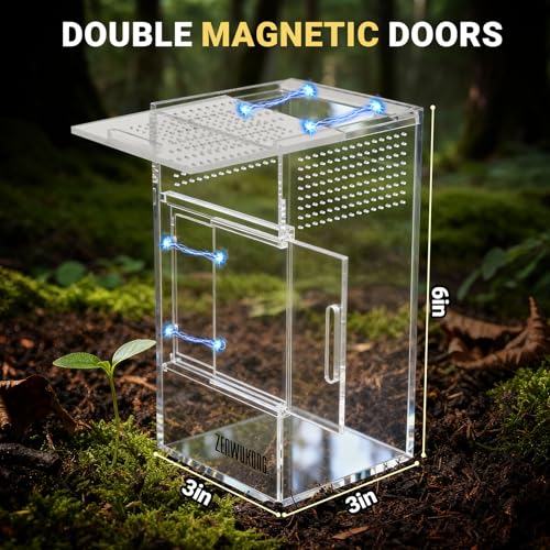 Jumping Spider Enclosure - Acrylic Terrarium Habitat for Spiders, Tarantulas, Snail, Mantis, Lizard, and Small Reptiles, Magnetic Doors (3x3x6 inch) - size: 3x3x6inch
