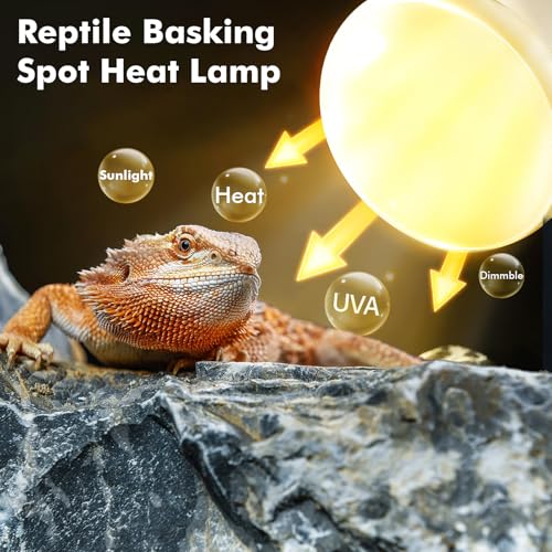 Reptile Heat Lamp, 100W Heat Lamp Bulbs for Reptiles 2 Pack, Amphibians Basking Heat Lamp Bulbs, UVA Daylight Basking Light for Reptiles, Bearded Dragon, Lizard, Turtle, Chicken - style: 100W
