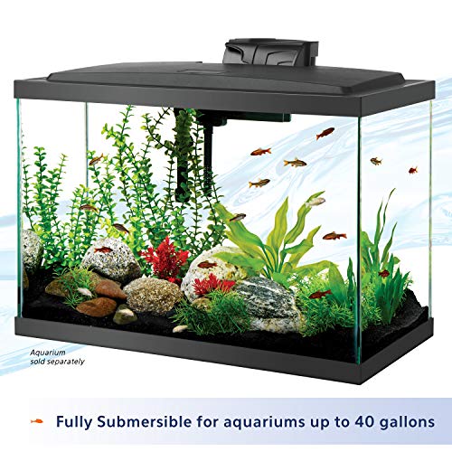 Aqueon Preset Aquarium Heater Black, 50 Watts - size: Black, 50 Watts, Up to 20 Gallons