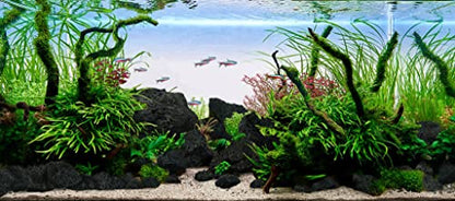 LANDEN Black Lava Stones (16lbs,3~10inch,11pcs) for Aquascaping Terrariums, Paludarium, Vivariums, Reptile and Amphibian Enclosures - size: 04 Black Lava Stones（3-10inch,16lbs）