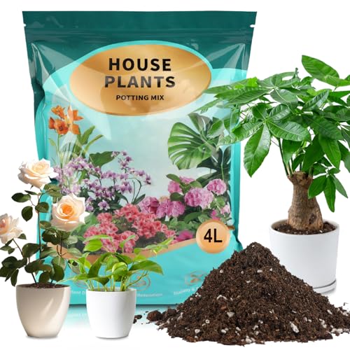 Potting Soil Mix 4qt for Indoor Plants, Organic Houseplant Soil Well Draining Dirt Ready to Use, Fit for House Plant Like Pothos, Philodendron, Monstera, African Violet - color: Houseplant Soil, size: 4qt