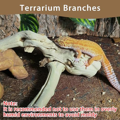 BNOSDM Reptile Branches, 5.9inch Snake Climbing Branch, Terrarium Wood Branch Decor, Bearded Dragon Tank Climbing Accessories for Lizard, Gecko, Chameleon, Frog