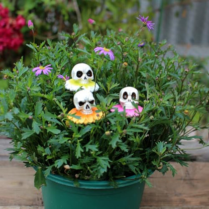 Resin Daisy Flower Skull Head Statue Plant Stakes Set of 3, Skull Garden Plant Accessories, Decorative Plant Picks, Indoor Outdoor Halloween Planter Pot Decorations Bonsai Crafts