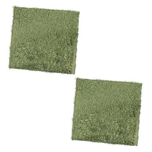 Hemoton 2pcs Reptile Tank Mats Green Grass Rug Rug Moisturizing Fake Lawn Sphagnum Moss for Reptiles