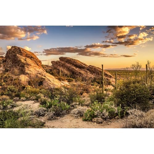 Desert Mountain Reptile Tank Background Sunset Rock Mountain Gobi Aquarium Background Blue Sky Gobi Barren Thorns Mountain Reptile Enclosure Backgrounds Cactus Mountain Fish Tank Backgrounds 24x16in - color: Gobi Orange, size: 24(W)x16(H)in