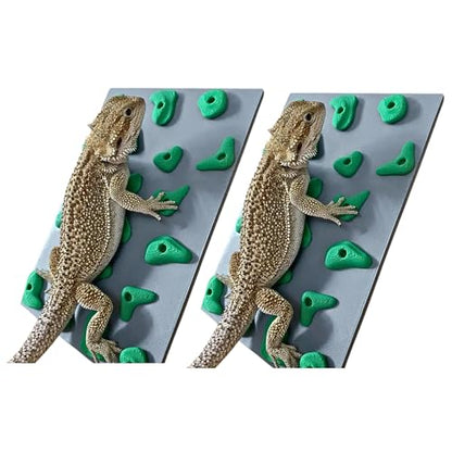 2 Pack Miniature Reptile Rock Climbing Wall – Enclosure Enrichment for Bearded Dragons, Geckos, and Small Pets – Fun Activity and Habitat Décor