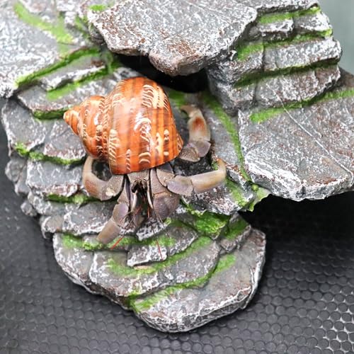 Hermit Crab Hideout, Resin Simulation Stone Reptile Cave Hideout, Hermit Crab Climbing Toys, Terrarium Habitat Decor for Lizard Spider Aquarium Fish Gecko Bearded Dragon